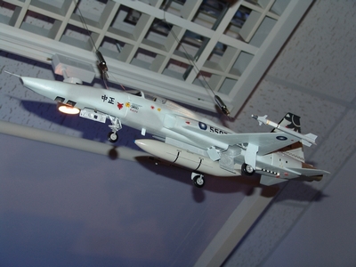RF-5E 虎眼式戰鬥偵察機 Tigereye RF-5E 虎眼式戰鬥偵察機 Tigereye