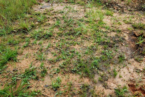 DSC_8826.JPG DSC_8826.JPG