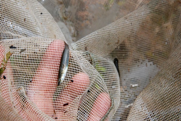 DSC_8830.JPG DSC_8830.JPG