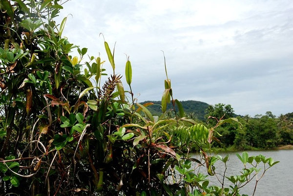 DSC_8832.JPG DSC_8832.JPG