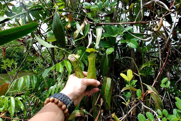 DSC_8833.JPG DSC_8833.JPG