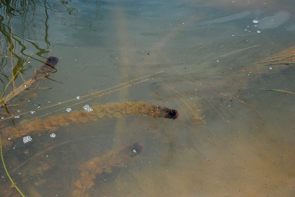 DSC_8834.JPG DSC_8834.JPG