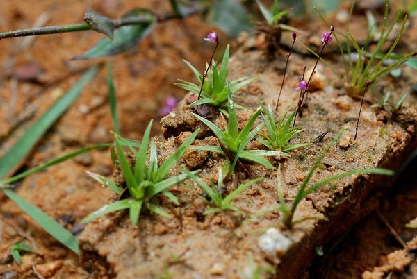 DSC_8839.JPG DSC_8839.JPG