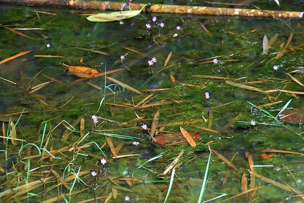 DSC_8849.JPG DSC_8849.JPG