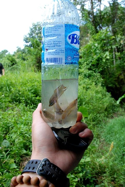 DSC_8851.JPG DSC_8851.JPG