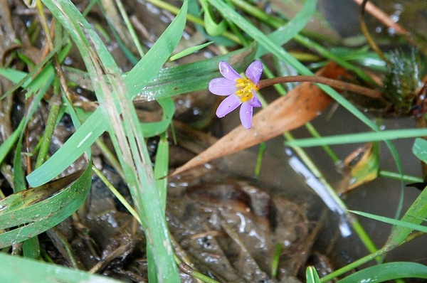 DSC_8854.JPG DSC_8854.JPG