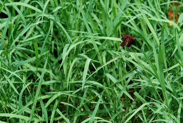 DSC_8860.JPG DSC_8860.JPG