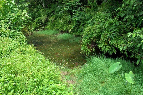 DSC_8862.JPG DSC_8862.JPG