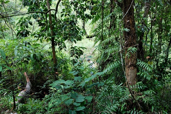 DSC_8885.JPG DSC_8885.JPG