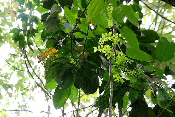 DSC_8878.JPG DSC_8878.JPG