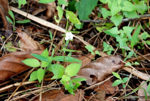 DSC_8889.JPG DSC_8889.JPG