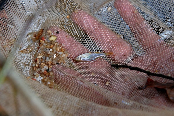 DSC_8903.JPG DSC_8903.JPG