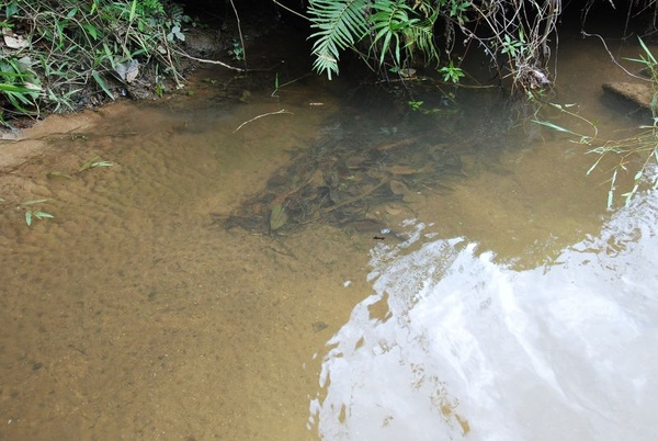 DSC_8904.JPG DSC_8904.JPG