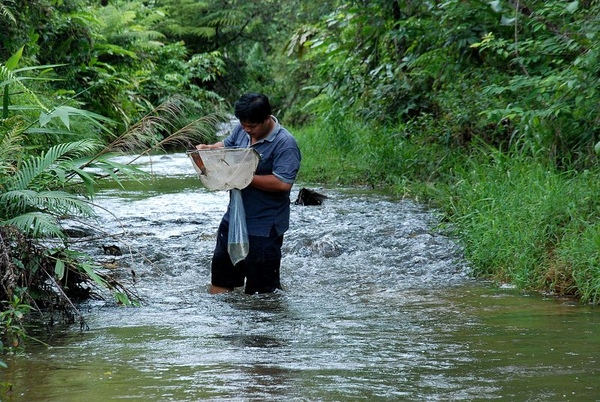 DSC_8905.JPG DSC_8905.JPG