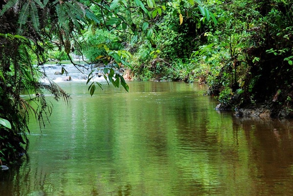 DSC_8923.JPG DSC_8923.JPG