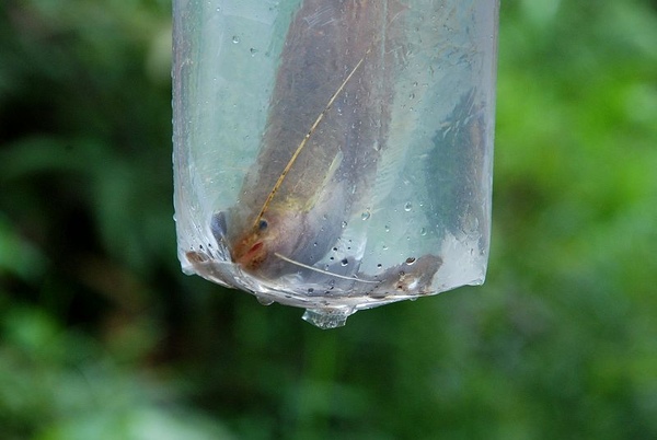 DSC_8926.JPG DSC_8926.JPG