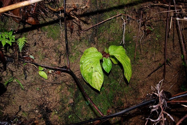 DSC_8931.JPG DSC_8931.JPG