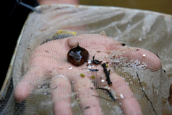 DSC_8933.JPG DSC_8933.JPG