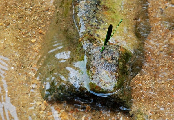 DSC_8942.JPG DSC_8942.JPG