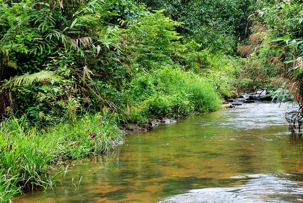 DSC_8944.JPG DSC_8944.JPG