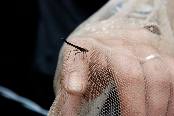 DSC_8952.JPG DSC_8952.JPG