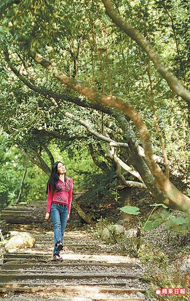 大安溪峽谷 12.26..jpg