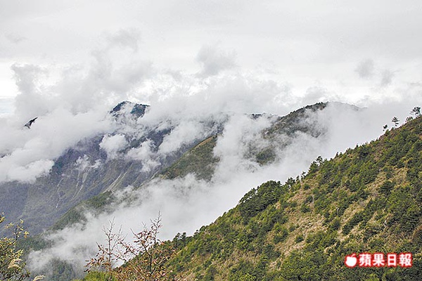 山頭降下大霧 12.31..jpg