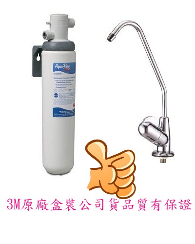 3M-Cyst-FF-2