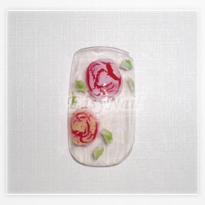 調整大小CIMG6173.jpg 調整大小CIMG6173.jpg