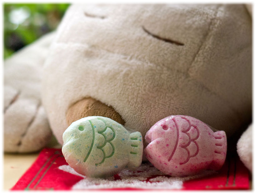 慢活魚造型發泡劑 (精打細算組合/一路發組合)