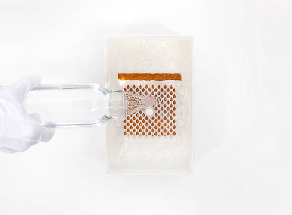 004_Water_Pour_1000 004_Water_Pour_1000