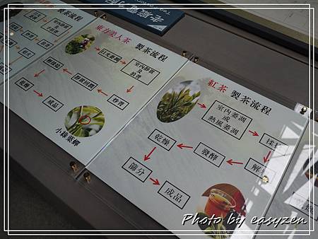 P1570199P87 P1570199P87