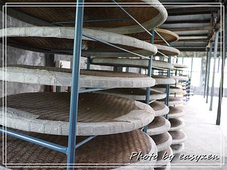 P1570210P98 P1570210P98