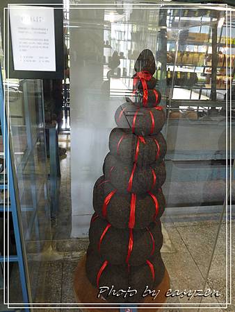 P1570275P02 P1570275P02