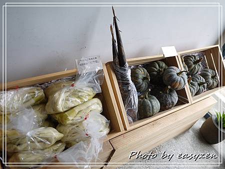 P1570263P151 P1570263P151