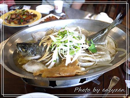 P1570336P29 P1570336P29