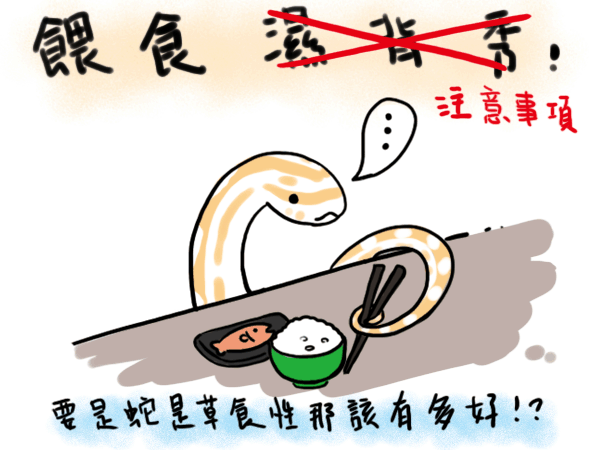 餵食濕背秀-首 餵食濕背秀-首