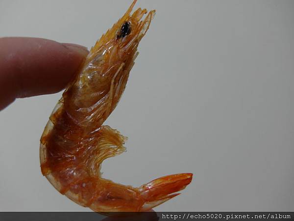 SAM_0675.JPG SAM_0675.JPG