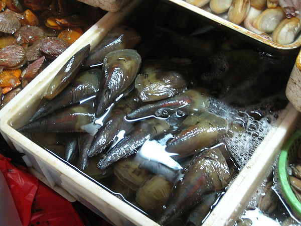 IMG_0865.JPG IMG_0865.JPG