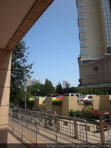 IMG_2563.JPG IMG_2563.JPG