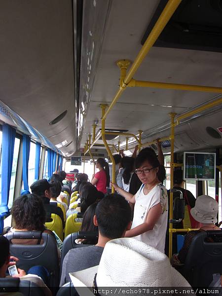 IMG_3554 IMG_3554