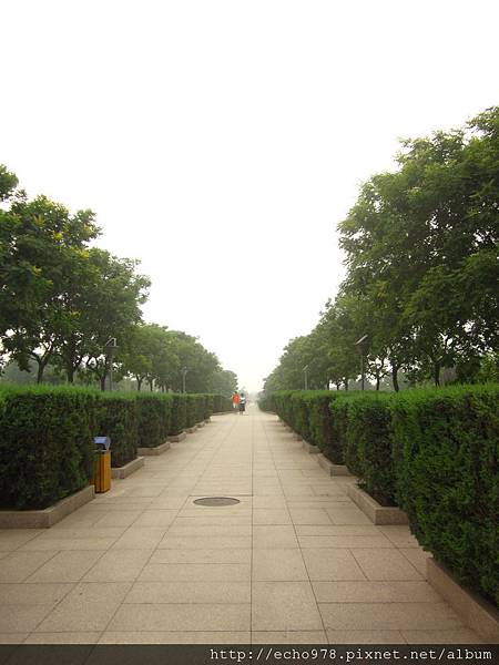 IMG_3560 IMG_3560