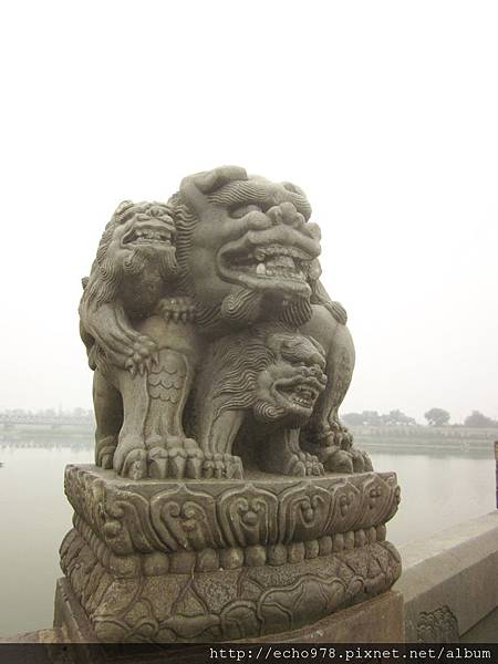 IMG_3667 IMG_3667