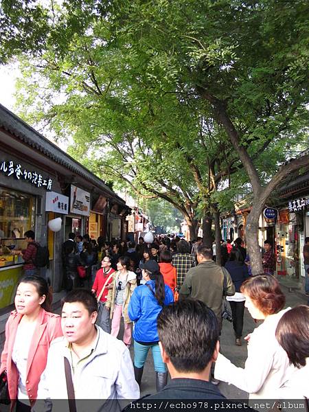 IMG_8218 IMG_8218