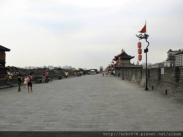 IMG_8202.JPG IMG_8202.JPG