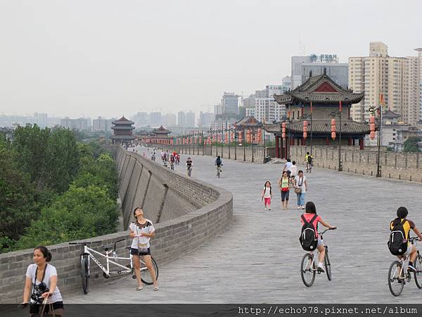 IMG_8231.JPG IMG_8231.JPG