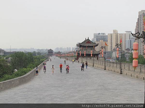 IMG_8232.JPG IMG_8232.JPG