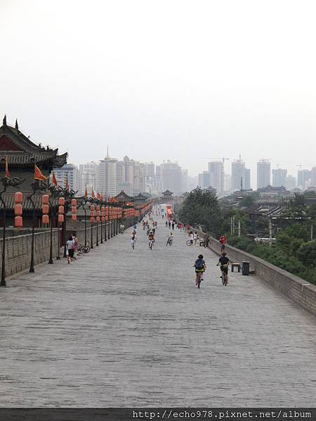 IMG_8233.JPG IMG_8233.JPG