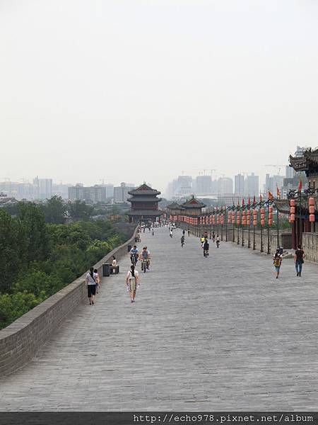 IMG_8234.JPG IMG_8234.JPG