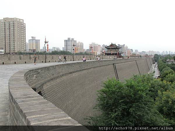 IMG_8236.JPG IMG_8236.JPG